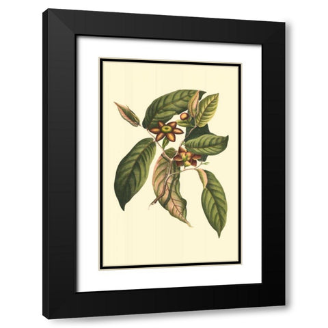 Flourishing Foliage IV Black Modern Wood Framed Art Print with Double Matting by Vision Studio