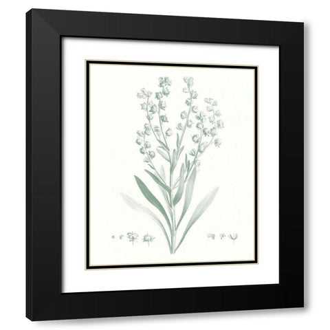 Botanical Study in Sage I Black Modern Wood Framed Art Print with Double Matting by Vision Studio