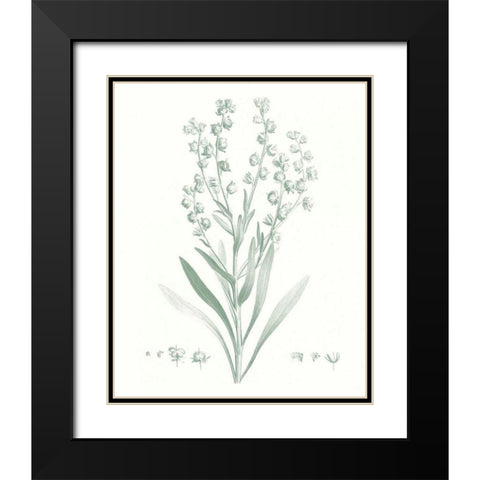 Botanical Study in Sage I Black Modern Wood Framed Art Print with Double Matting by Vision Studio