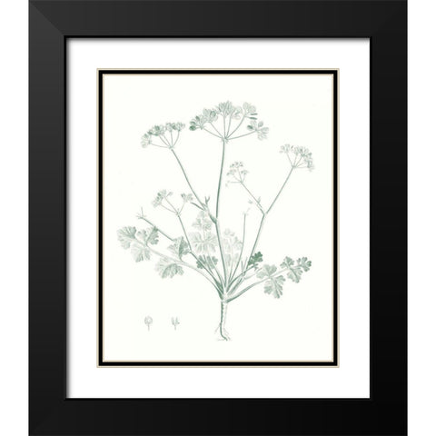 Botanical Study in Sage IV Black Modern Wood Framed Art Print with Double Matting by Vision Studio