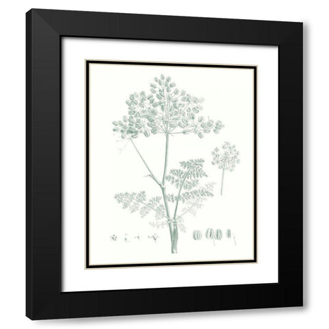 Botanical Study in Sage VI Black Modern Wood Framed Art Print with Double Matting by Vision Studio