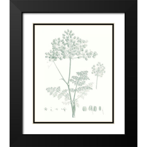 Botanical Study in Sage VI Black Modern Wood Framed Art Print with Double Matting by Vision Studio