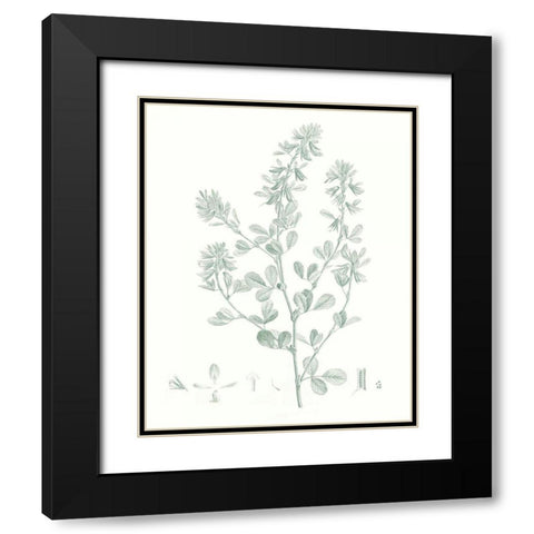 Botanical Study in Sage VIII Black Modern Wood Framed Art Print with Double Matting by Vision Studio