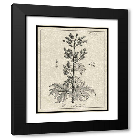 Antique Black and White Botanical III Black Modern Wood Framed Art Print with Double Matting by Vision Studio