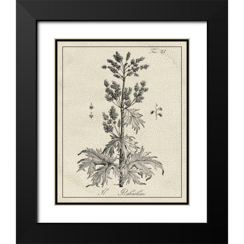 Antique Black and White Botanical III Black Modern Wood Framed Art Print with Double Matting by Vision Studio