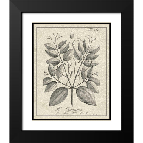 Antique Black and White Botanical VII Black Modern Wood Framed Art Print with Double Matting by Vision Studio