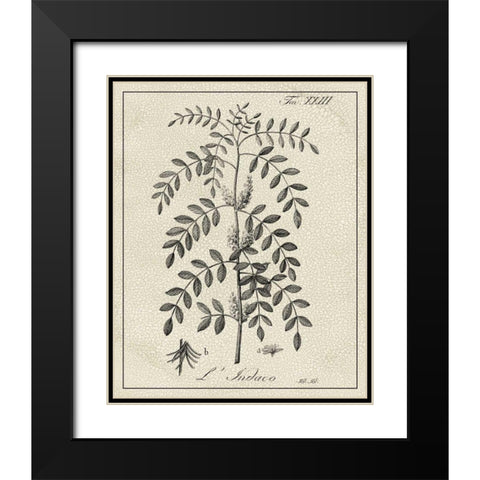 Antique Black and White Botanical IX Black Modern Wood Framed Art Print with Double Matting by Vision Studio