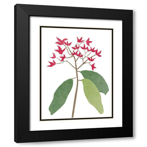 Begonia Stem I Black Modern Wood Framed Art Print with Double Matting by Wang, Melissa