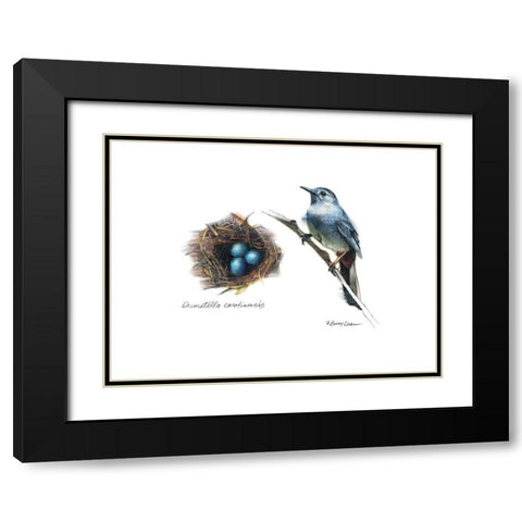 Bird and Nest Study II Black Modern Wood Framed Art Print with Double Matting by Dean, Bruce