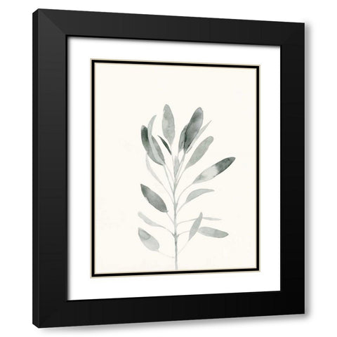 Delicate Sage Botanical II Black Modern Wood Framed Art Print with Double Matting by Caroline, Emma
