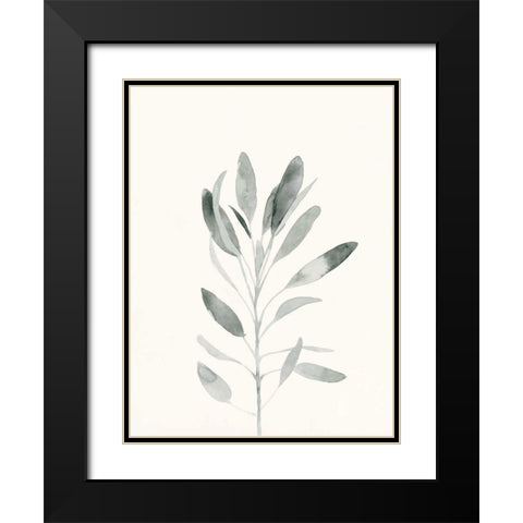 Delicate Sage Botanical II Black Modern Wood Framed Art Print with Double Matting by Caroline, Emma