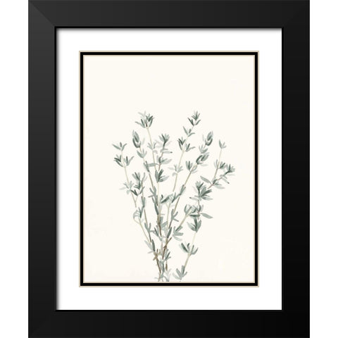 Delicate Sage Botanical III Black Modern Wood Framed Art Print with Double Matting by Caroline, Emma