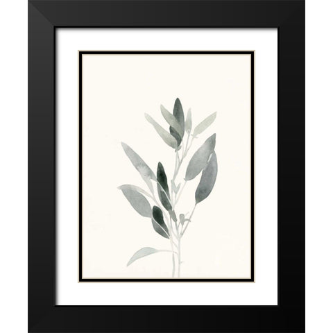 Delicate Sage Botanical IV Black Modern Wood Framed Art Print with Double Matting by Caroline, Emma