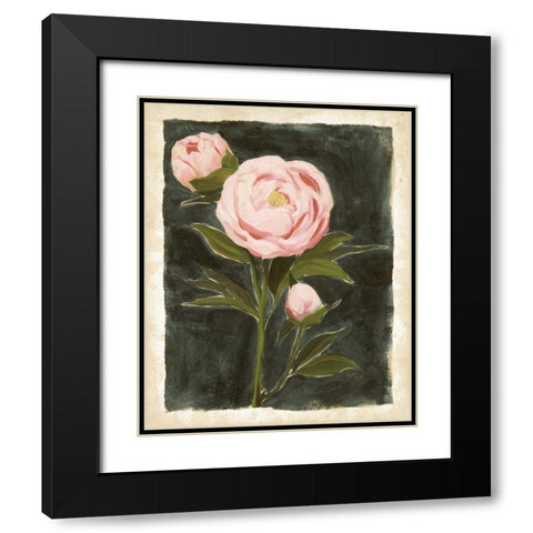 Vintage Peonies I Black Modern Wood Framed Art Print with Double Matting by Popp, Grace
