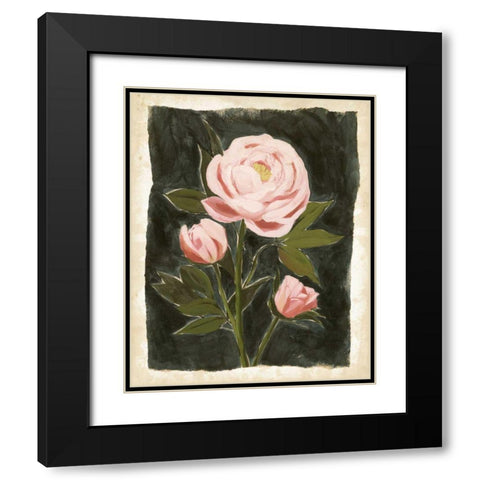 Vintage Peonies II Black Modern Wood Framed Art Print with Double Matting by Popp, Grace