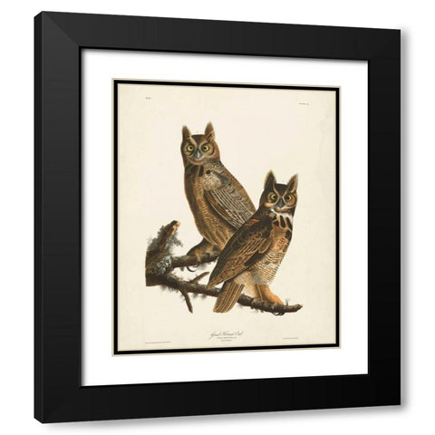 Pl 61 Great Horned Owl Black Modern Wood Framed Art Print with Double Matting by Audubon, John James