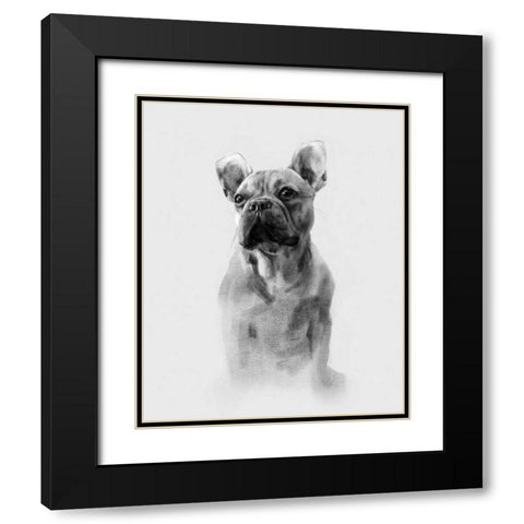 Pug Portrait I Black Modern Wood Framed Art Print with Double Matting by Caroline, Emma