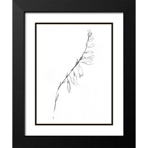 Stem Contour V Black Modern Wood Framed Art Print with Double Matting by Goldberger, Jennifer
