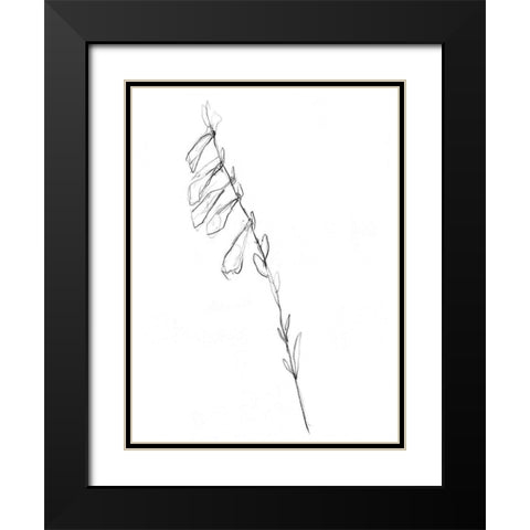 Stem Contour VI Black Modern Wood Framed Art Print with Double Matting by Goldberger, Jennifer