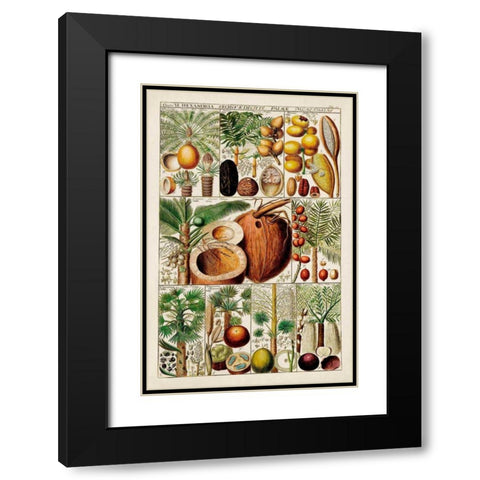 Palm Tree Chart Black Modern Wood Framed Art Print with Double Matting by Vision Studio
