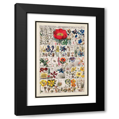 Floral Chart Black Modern Wood Framed Art Print with Double Matting by Vision Studio