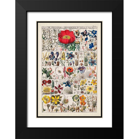 Floral Chart Black Modern Wood Framed Art Print with Double Matting by Vision Studio