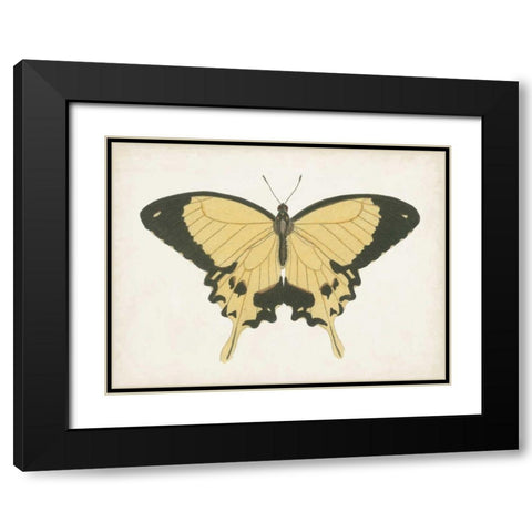 Beautiful Butterfly I Black Modern Wood Framed Art Print with Double Matting by Vision Studio