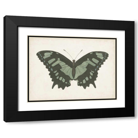 Beautiful Butterfly II Black Modern Wood Framed Art Print with Double Matting by Vision Studio