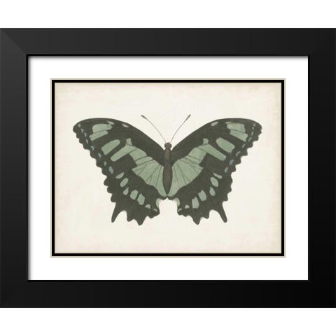 Beautiful Butterfly II Black Modern Wood Framed Art Print with Double Matting by Vision Studio