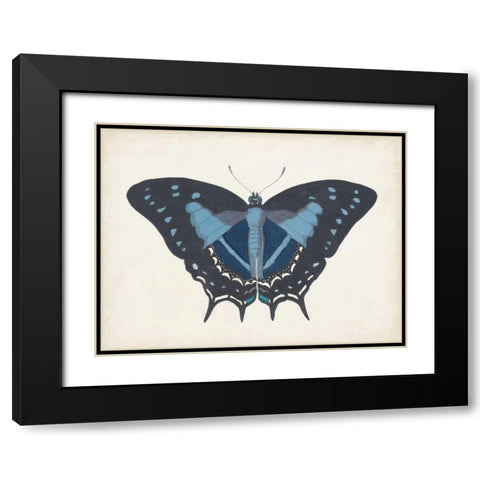 Beautiful Butterfly III Black Modern Wood Framed Art Print with Double Matting by Vision Studio