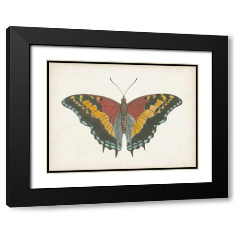 Beautiful Butterfly IV Black Modern Wood Framed Art Print with Double Matting by Vision Studio