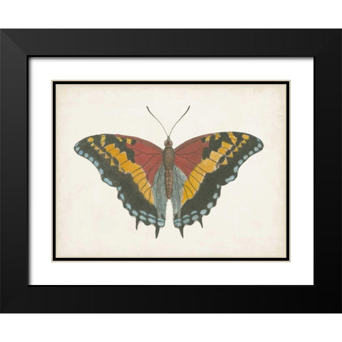 Beautiful Butterfly IV Black Modern Wood Framed Art Print with Double Matting by Vision Studio