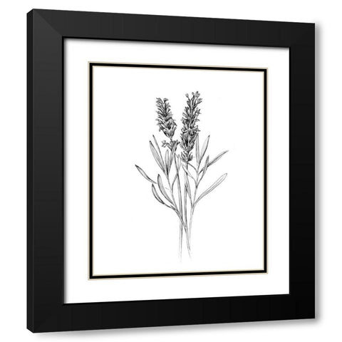 Field Flower II Black Modern Wood Framed Art Print with Double Matting by Warren, Annie