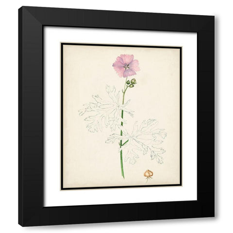 Watercolor Botanical Sketches III Black Modern Wood Framed Art Print with Double Matting by Unknown