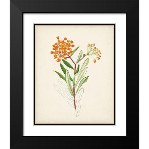 Watercolor Botanical Sketches VI Black Modern Wood Framed Art Print with Double Matting by Unknown