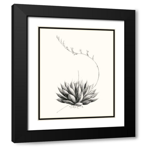 Graphic Succulents IV Black Modern Wood Framed Art Print with Double Matting by Vision Studio