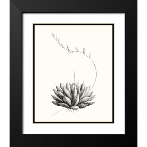 Graphic Succulents IV Black Modern Wood Framed Art Print with Double Matting by Vision Studio