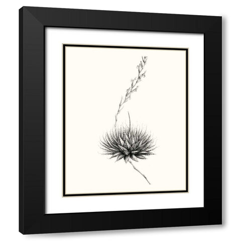 Graphic Succulents V Black Modern Wood Framed Art Print with Double Matting by Vision Studio