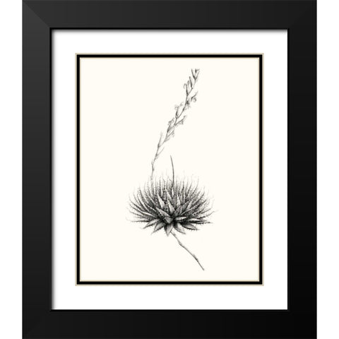 Graphic Succulents V Black Modern Wood Framed Art Print with Double Matting by Vision Studio
