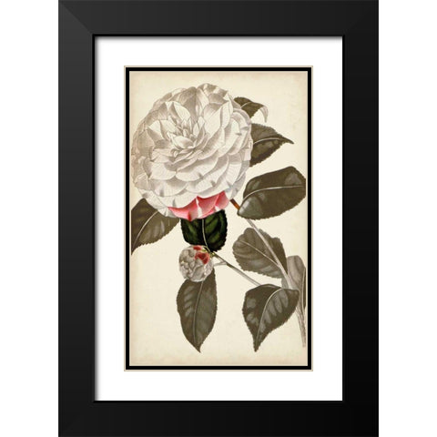 Silvery Botanicals I Black Modern Wood Framed Art Print with Double Matting by Vision Studio