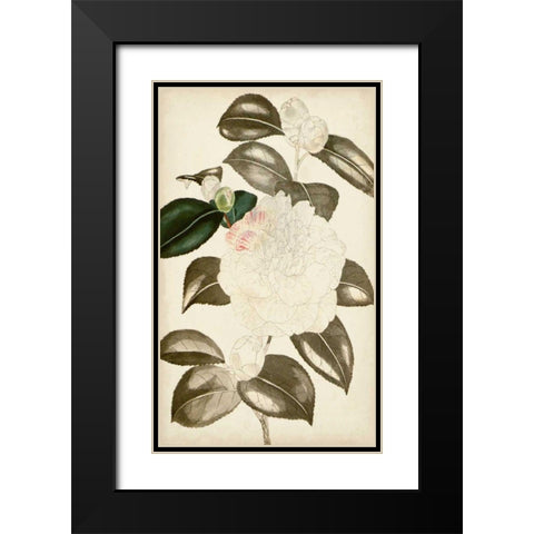 Silvery Botanicals II Black Modern Wood Framed Art Print with Double Matting by Vision Studio