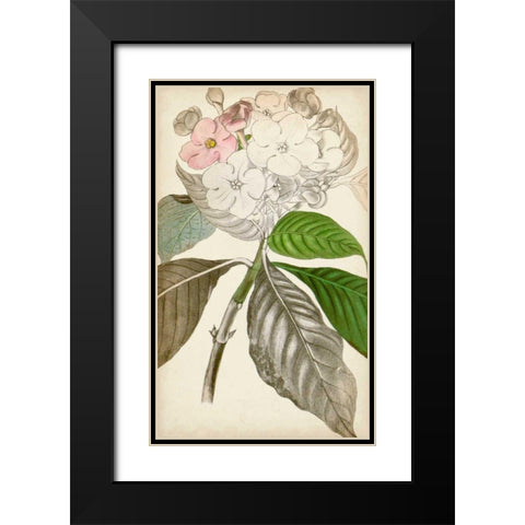 Silvery Botanicals V Black Modern Wood Framed Art Print with Double Matting by Vision Studio