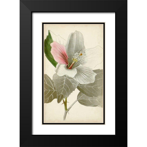 Silvery Botanicals VI Black Modern Wood Framed Art Print with Double Matting by Vision Studio