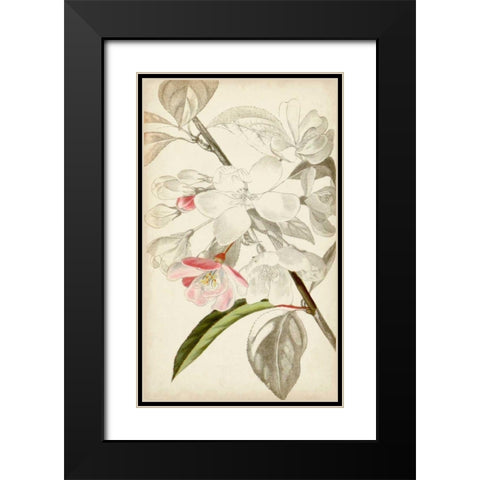 Silvery Botanicals VIII Black Modern Wood Framed Art Print with Double Matting by Vision Studio