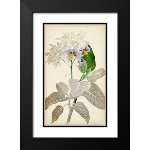 Silvery Botanicals IX Black Modern Wood Framed Art Print with Double Matting by Vision Studio