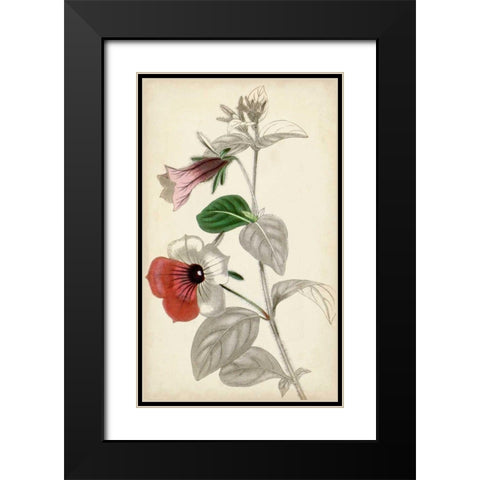 Silvery Botanicals X Black Modern Wood Framed Art Print with Double Matting by Vision Studio