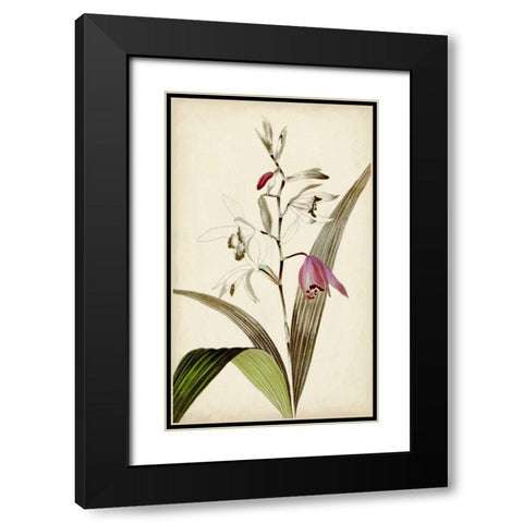 Silvery Botanicals XI Black Modern Wood Framed Art Print with Double Matting by Vision Studio