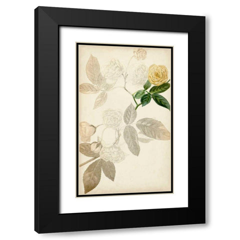 Silvery Botanicals XII Black Modern Wood Framed Art Print with Double Matting by Vision Studio