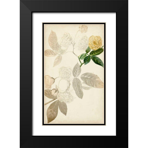 Silvery Botanicals XII Black Modern Wood Framed Art Print with Double Matting by Vision Studio