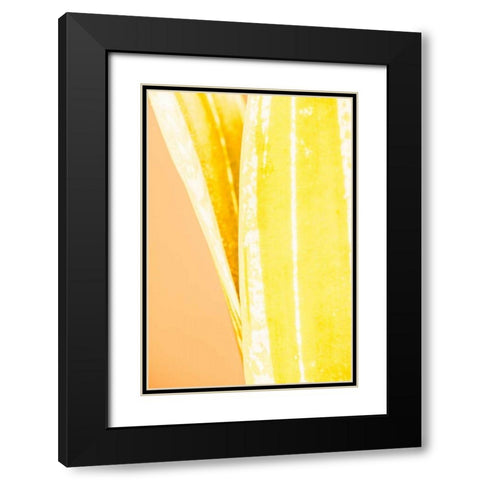 Hot House I Black Modern Wood Framed Art Print with Double Matting by Stramel, Renee W.